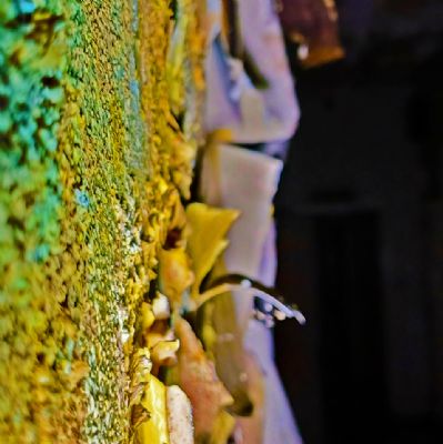 SimpsonDXPre-10yellowgreenwall