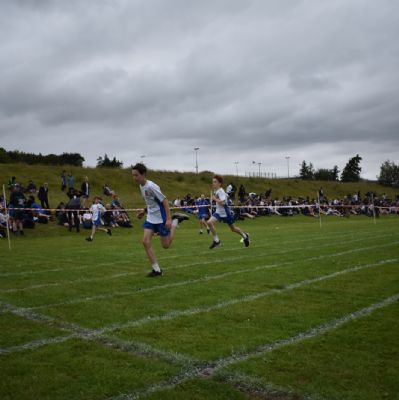 DSC0339